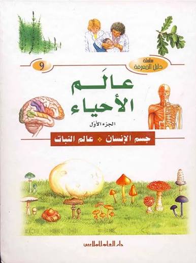 الأحياء
